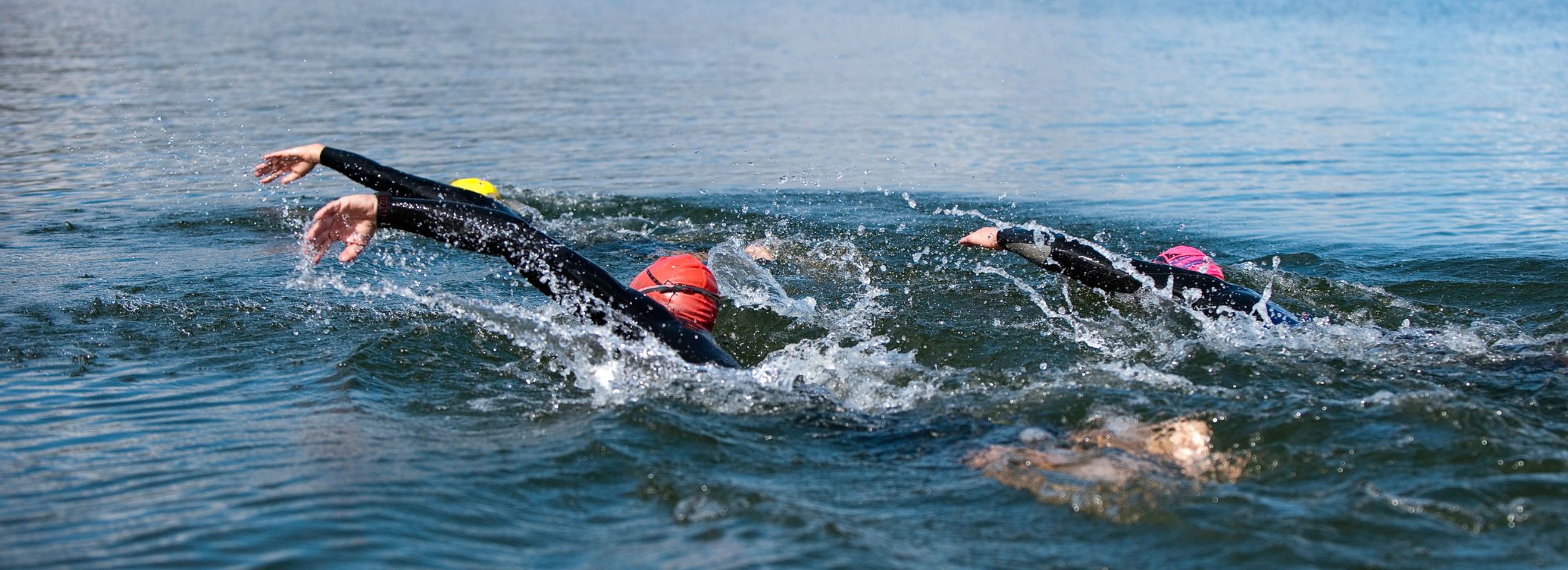 Swimmers in a race. Challenge Canberra Triathlon is back in November 2024